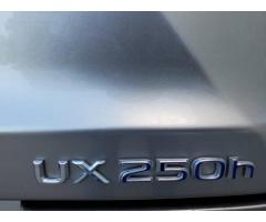 2019 Lexus UX UX 250h PREMIUM AWD